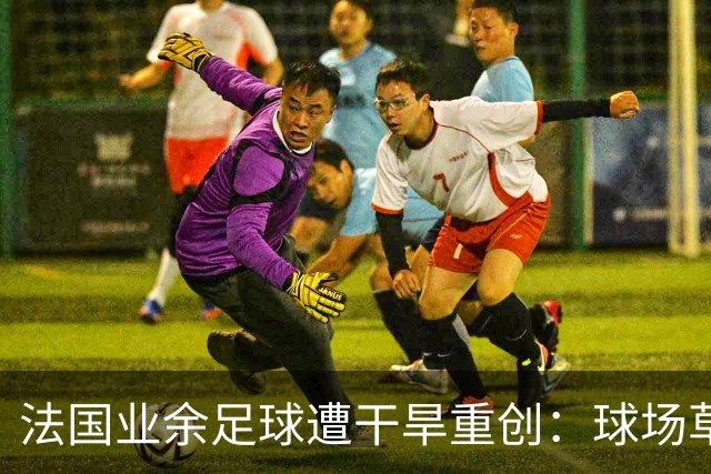 法国业余足球遭干旱重创：球场草坪枯黄干裂，新赛季举步维艰